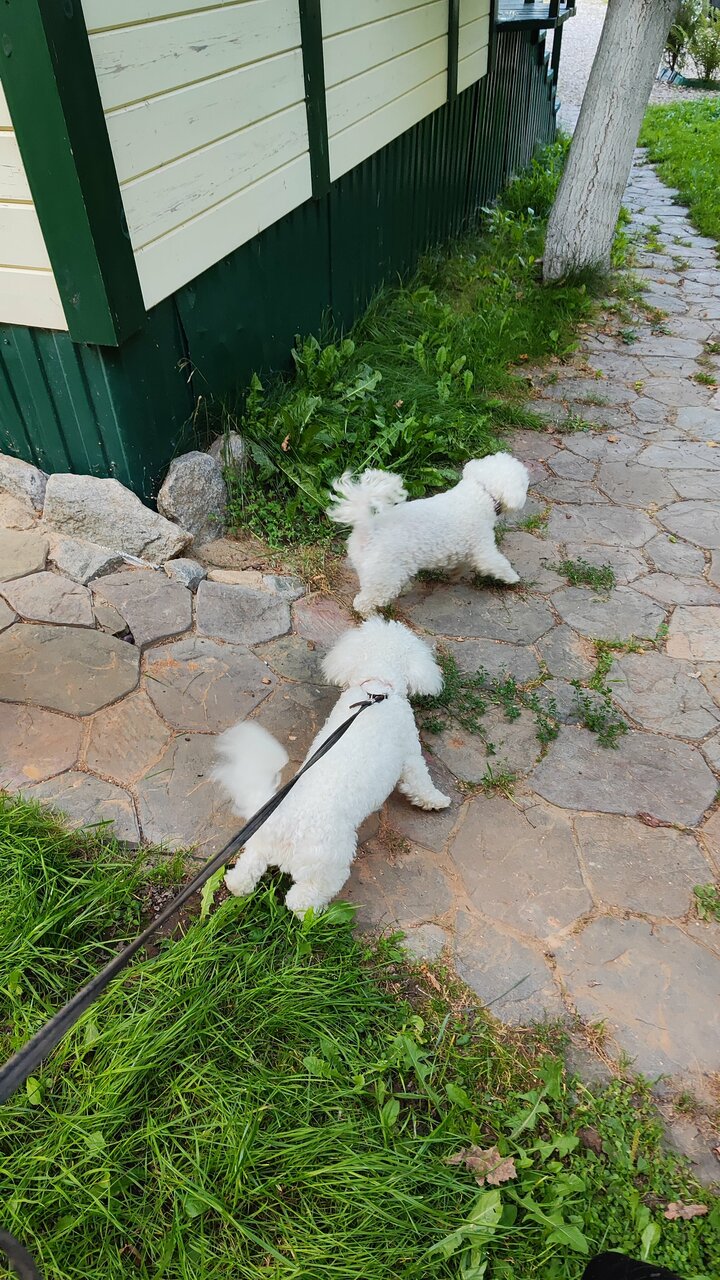 Гостевой дом У Пруда Кострома-107