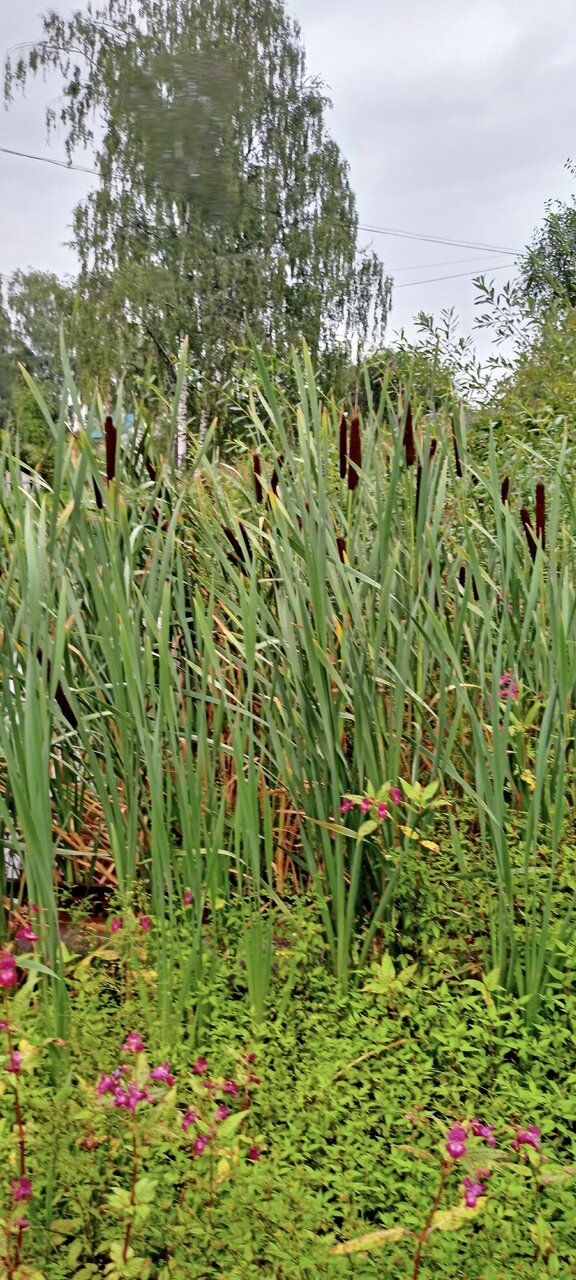 Гостевой дом У Пруда Кострома-55