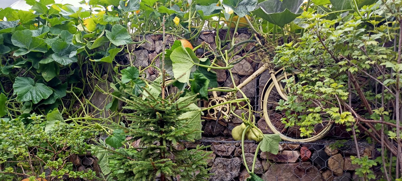 Гостевой дом У Пруда Кострома-58