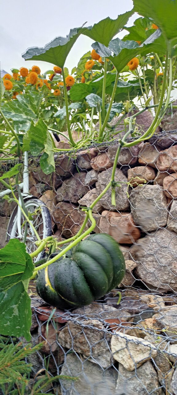 Гостевой дом У Пруда Кострома-54