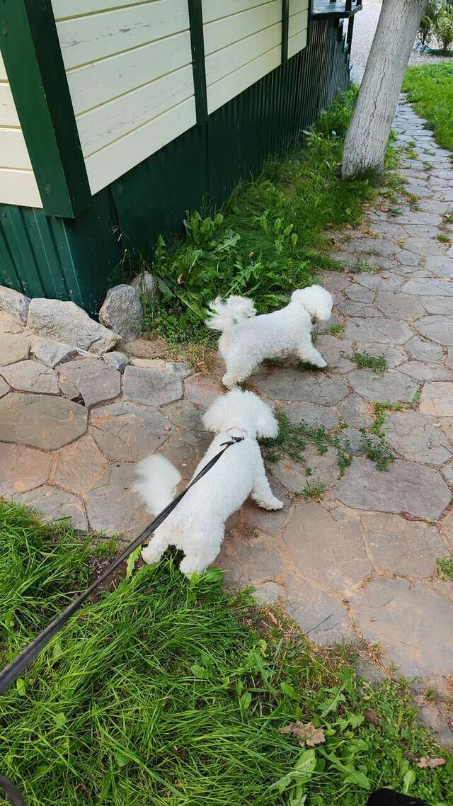 Гостевой дом У Пруда Кострома-106