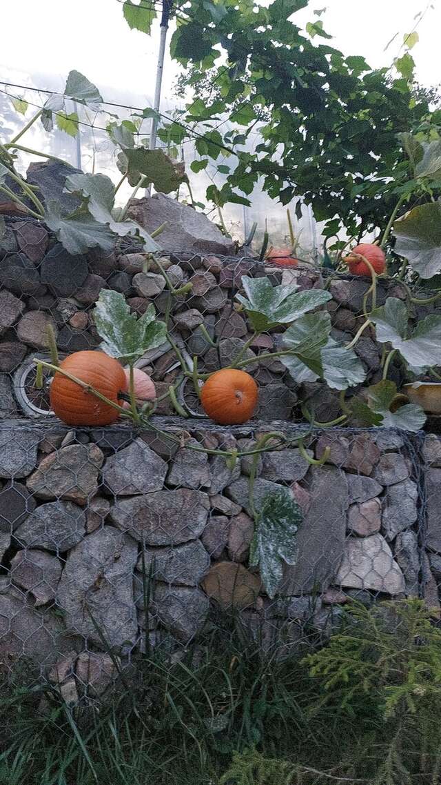 Гостевой дом У Пруда Кострома-49