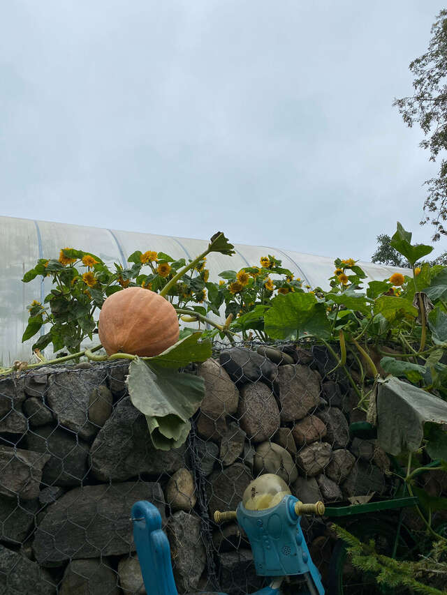 Гостевой дом У Пруда Кострома-61