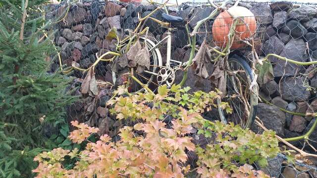 Гостевой дом У Пруда Кострома-114