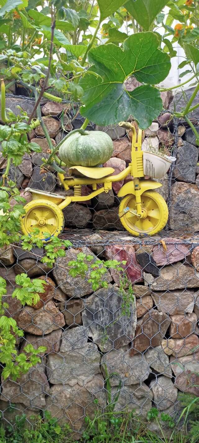 Гостевой дом У Пруда Кострома-55