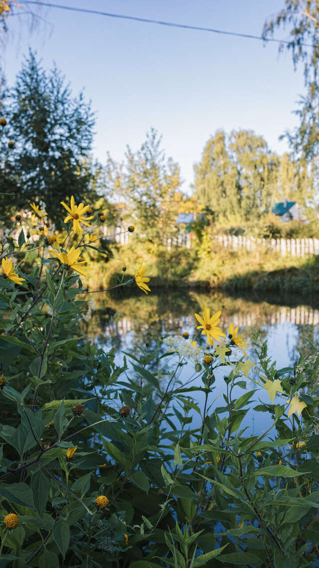 Гостевой дом У Пруда Кострома-107