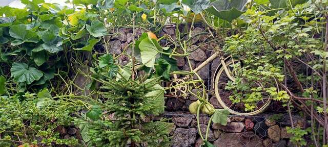 Гостевой дом У Пруда Кострома-57