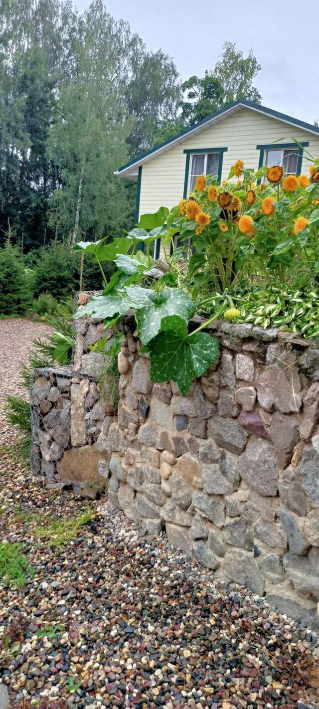 Гостевой дом У Пруда Кострома-56