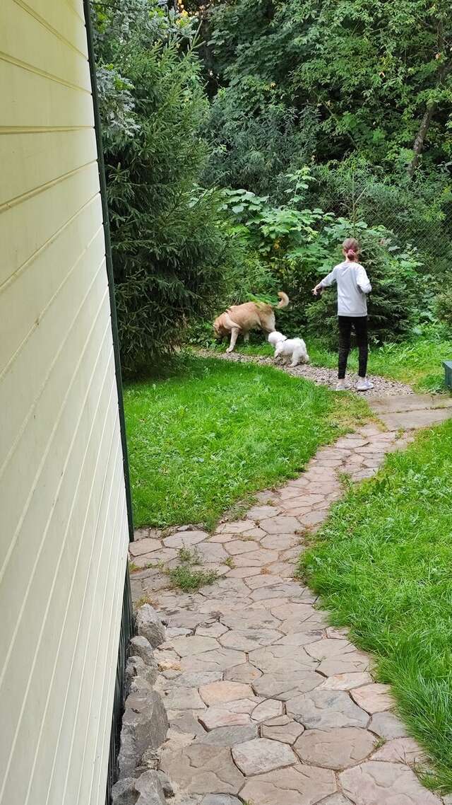 Гостевой дом У Пруда Кострома-117