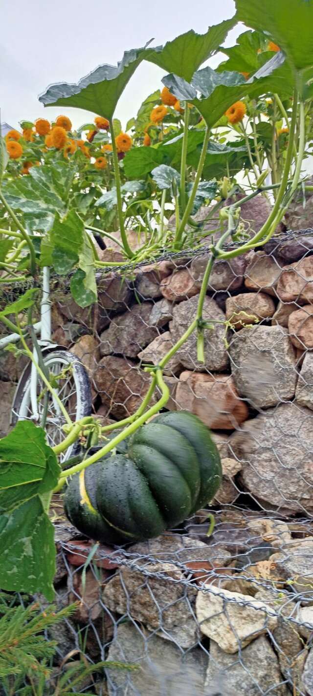 Гостевой дом У Пруда Кострома-53